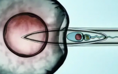 单身人士能在惠州第二妇幼做第三代试管婴儿吗？成功率怎么样？