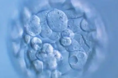 哈萨克斯坦哪家做试管婴儿可以包怀上的？可信度高不高？