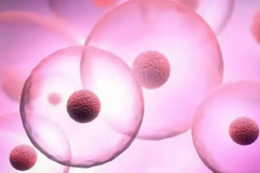 试管婴儿真的能百分百成功？别被“包成功”忽悠了