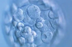 2026年陕西三代试管婴儿收费标准公布？附新试管助孕费用清单