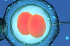 成都做试管助孕包成功可信吗？2026年价格与成功率权威对比