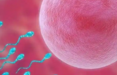 贵州三代试管助孕包干服务价格多少？费用构成及医院推荐