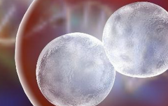 柬埔寨试管婴儿价格包干套餐，全面了解包含的医疗服务项目