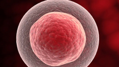 2026在阳泉三代试管婴儿助孕一般要花多少钱，费用明细全览