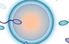 武汉市第三方助孕全流程费用明细，这些花费一定要清楚