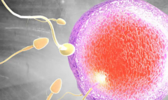 山东济南第三代试管婴儿费用明细：价格公开，无隐形收费