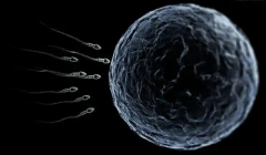 俄罗斯第三代试管婴儿包成功是真的吗？