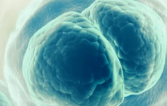 辽宁省做三代试管婴儿费用贵吗？带你了解具体算法