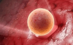 去吉尔吉斯斯坦做三代试管婴儿一次成功几率大吗？