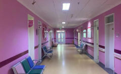 浙江省温州助孕中介公司名单汇总