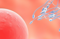 海南医学院第二附属医院为单身做试管婴儿的成功几率大吗？