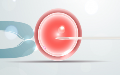 2026年山西省妇幼单身做试管可以吗？费用价目表详解