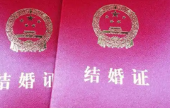 2026年三峡大学附属仁和医院单身试管婴儿收费项目及价格一览表