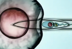 2026年去石家庄做三代试管助孕总共要多少钱？费用明细详细说明