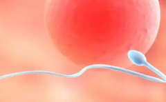 武汉市哪些试管婴儿中心敢承诺包成功？实地走访报告