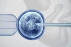 2026年深圳北大医院单身人群试管婴儿费用明细价目表