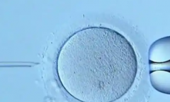 重庆三代试管助孕费用全知道！8万-12万，费用明细公开