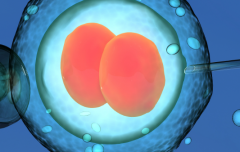 2026河南省郑州试管助孕费用一览表大放送，赶快详细了解