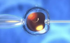 北京试管私立机构真的有包成功服务吗？