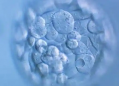 江西省三代试管婴儿多少钱？附成功率和费用详细说明