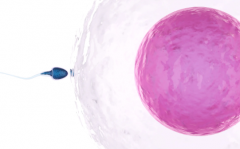 国外试管助孕一次费用多少？全面费用清单和机构对比