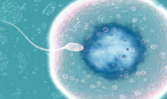 乌克兰试管婴儿包成功骗局曝光 试管婴儿真的能确保成功吗