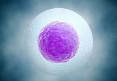 2026年贵阳三代试管婴儿费用明细出炉，大概准备这些钱就够了