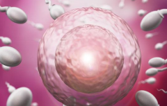 未婚人士可以在佛山市第一人民医院做试管吗？附最新费用与成功率数