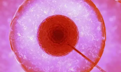 2026年在广西南宁做三代试管包成功靠谱吗？医院名单一览