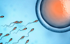 2026湖南永州第三代试管婴儿费用一览，各项目价格完全透明