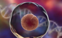 2026年浙江省杭州市第三代试管助孕费用全览：各项目具体价格完全公开