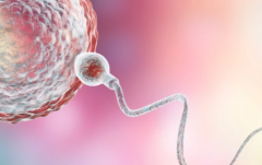 广州试管私立机构真的有包成功服务吗？