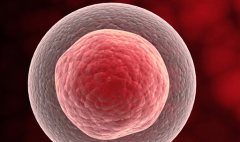 保定市妇幼保健院试管攻略：无结婚证可行吗？费用与成功率一览