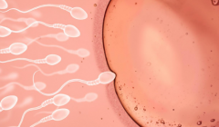 2026年沈阳菁华医院试管单身费用明细表最新出炉