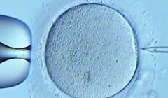 2026年格鲁吉亚三代试管婴儿包成功是真的吗？操作流程与关键注意事项