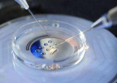 2026年未婚人士去顺德医大医院做试管大概要花多少钱？