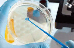 2026年单身女性如何在衢州妇幼做试管？流程费用全解析