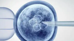 辽宁沈阳三代试管婴儿助孕多少钱？全流程费用约8-12万上下