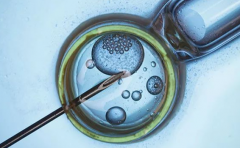 2026深圳市做三代试管助孕费用大概多少钱？附三代试管费用参考表