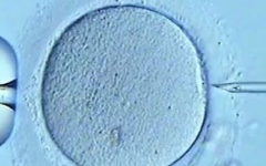 武汉三代试管婴儿多少钱？附成功率和费用详细说明