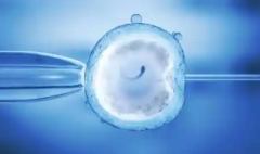 2026年浙江杭州市三代试管婴儿包成功是真是假？流程步骤与注意要点