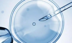 2026年河北第三代试管婴儿费用大概需要多少？最新价格表与收费项目全