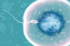 2026年安徽省妇幼保健院单身试管婴儿费用价目表一览！