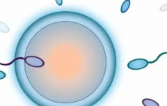 昆明三代试管婴儿费用一览，大致花费10到15万元