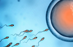 河南省郑州市哪些助孕机构提供试管婴儿包怀孕方案？