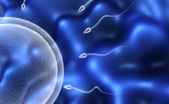 2026年单身女性如何在潍坊市人民医院做试管？流程费用全解析