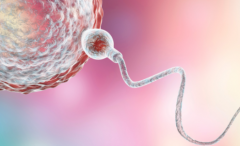 2026年单身人士能不能在海南附属二院做试管助孕？步骤全解析