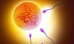 2026泰国三代试管婴儿花费明细全公开：按阶段收费价格表一览