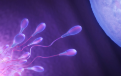 2026年长春三代试管婴儿包成功是真是假？流程步骤与注意要点