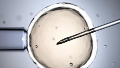 2026年单身去昭通市第一人民医院做试管婴儿全部费用大概多少？